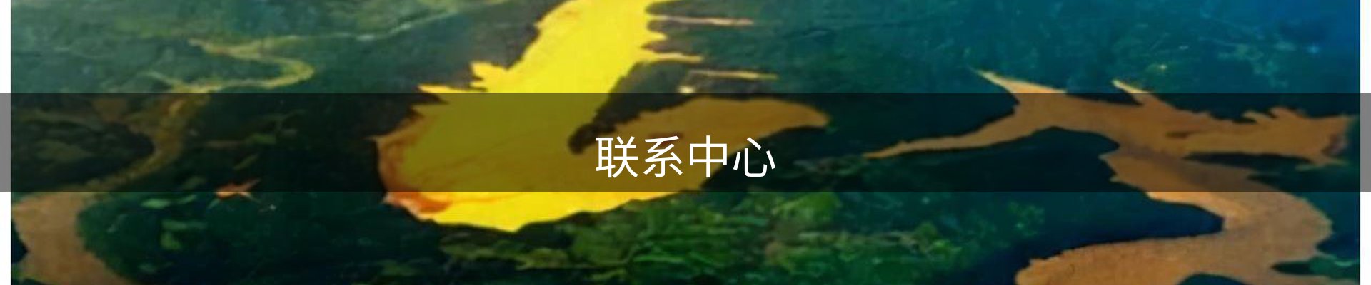 联系中心